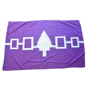 American Indian Flags product image