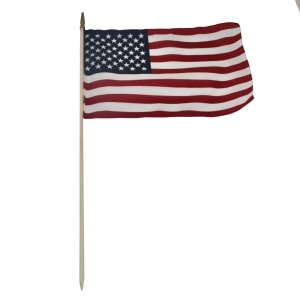 American Flags - Handheld